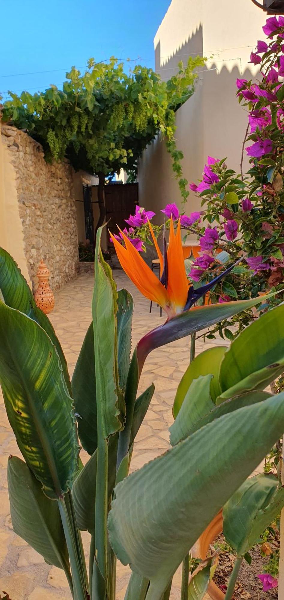 Apartament El Jardin Secreto Oria Zewnętrze zdjęcie